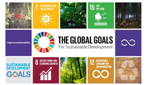 Traducir los objetivos de desarrollo sostenible en acciones