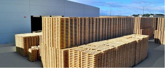 Embalajes Bercalsa ampl&iacute;a su negocio presentando numerosas novedades