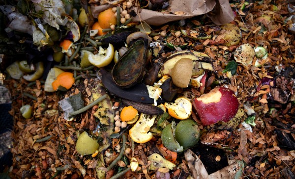 A new ‘OK Compost’ certified label material for thermal applications from Avery Dennison