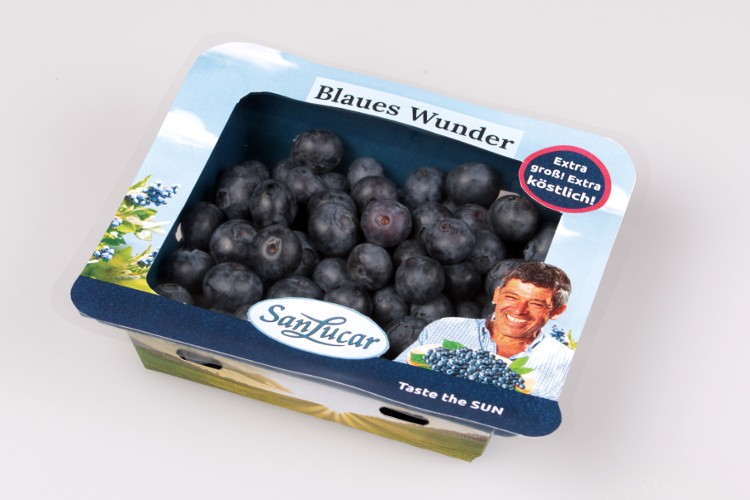 NaturE Punnet: el innovador envase sostenible de Sanlucar para bayas