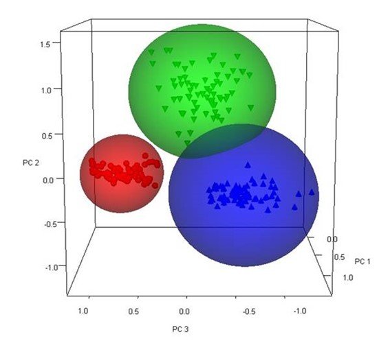 Las esferas rojas representan las muestras de corcho puro, los conos azules las muestras de mancha amarilla y los conos invertidos verdes las muestras de leño. Fuente: Elaboración propia mediante el programa IDENT de Bruker
