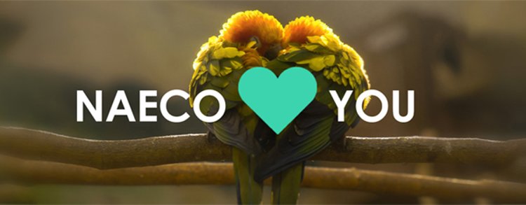 Naeco presenta Naeco Loves You, una iniciativa que surge con el objetivo de promover la Sostenibilidad
