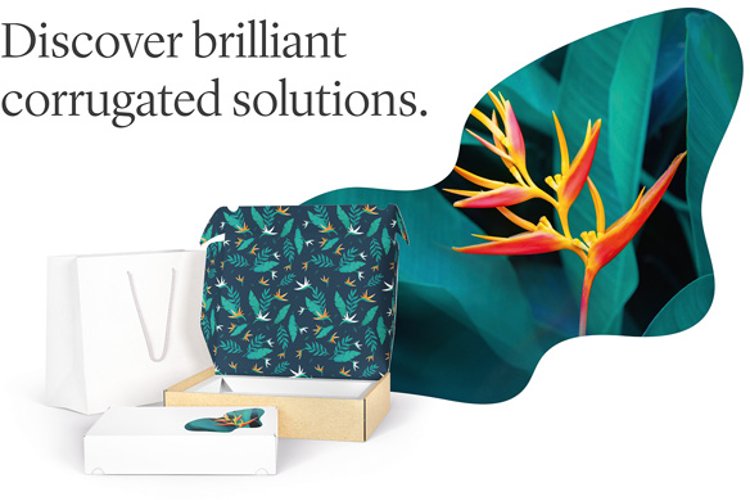 Sappi amplía con Fusion Nature Plus su cartera de productos para aplicaciones de cartón corrugado