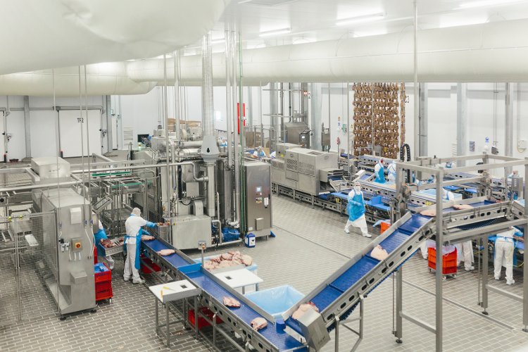 ERP SOLUTION adds value to ham production