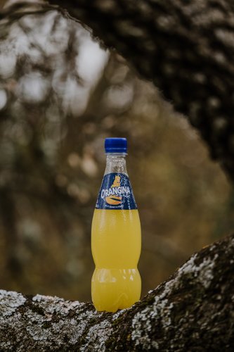 Suntory presenta su primer prototipo de botellas PET 100% vegetal