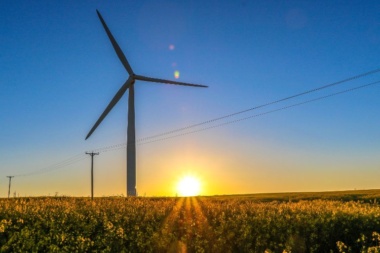 El 100% de la electricidad consumida en 2020 por Saica Natur tiene un origen renovable