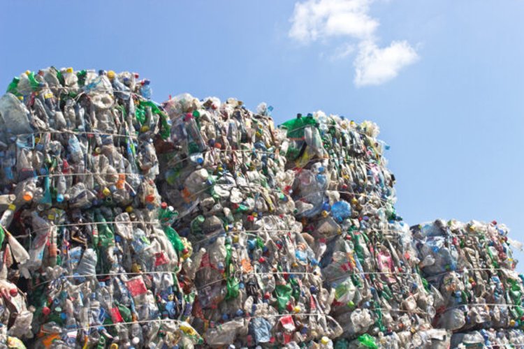 Todo lo que necesita saber sobre las prohibiciones de plástico de un solo uso y el reciclaje de bolsas de plástico