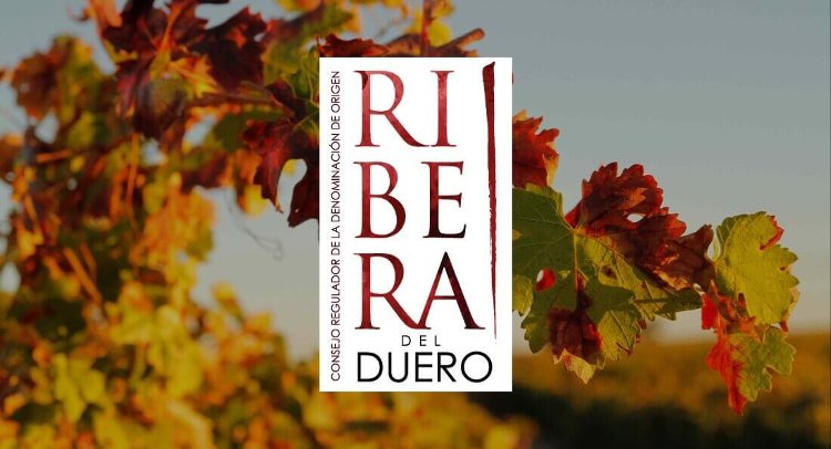 Ribera del Duero arranca su cuarenta aniversario con récord de 100 millones de contraetiquetas en 2021
