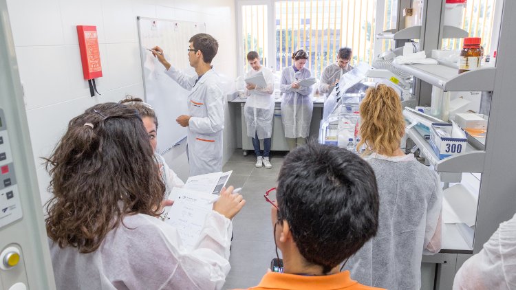 AIMPLAS y la Universitat de València crean el primer título de Experto Universitario en Reciclado