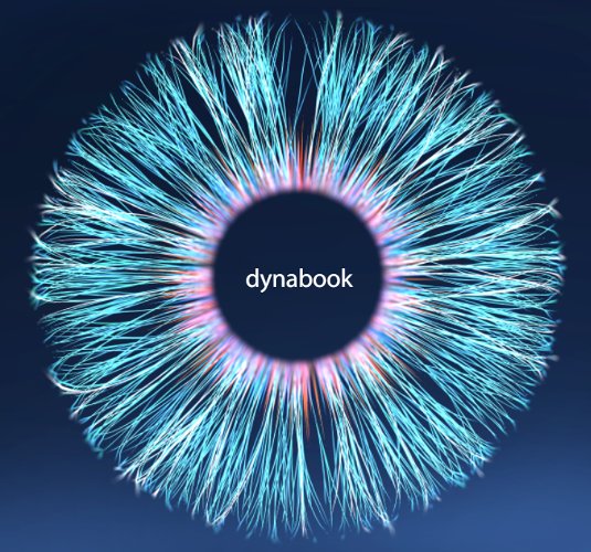 Dynabook ofrece las claves para contar con una garantía y un servicio postventa fiable y adecuado para las empresas