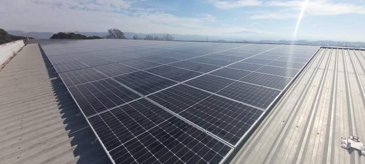 Pascual pone en marcha una planta de Autoconsumo Fotovoltaico con más de 3.000 placas solares sobre cubierta en su fábrica de Gurb (Barcelona)