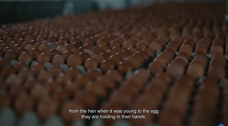 Etiquetado alimentario de última generación para conocer el origen de los huevos