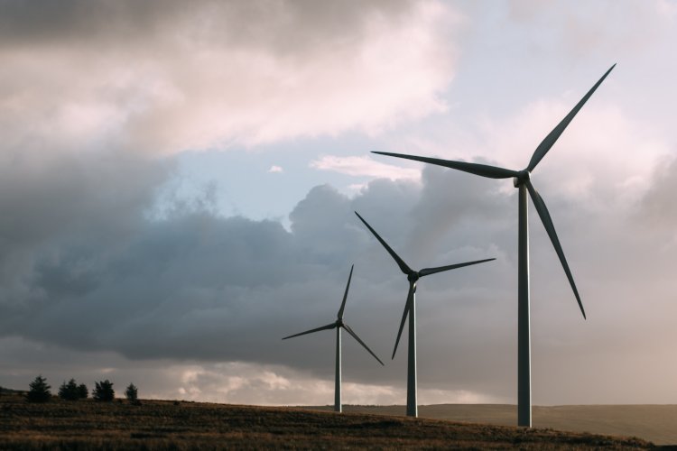Coveris invests in clean energy from Swedish Wind Farm