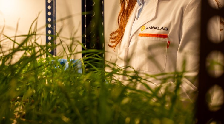 AIMPLAS acredita nuevos ensayos para productos compostables y sigue impulsando la economía circular