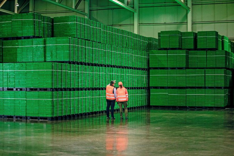 Logifruit recibe la evaluación positiva de la European Food Safety Authority (EFSA) de su circuito de reciclado circular