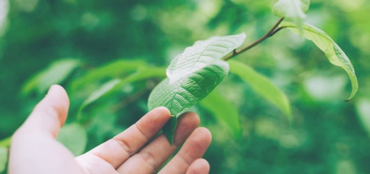 La industria de alimentaci&oacute;n y bebidas reclama apoyo en la transici&oacute;n hacia un modelo energ&eacute;tico m&aacute;s sostenible