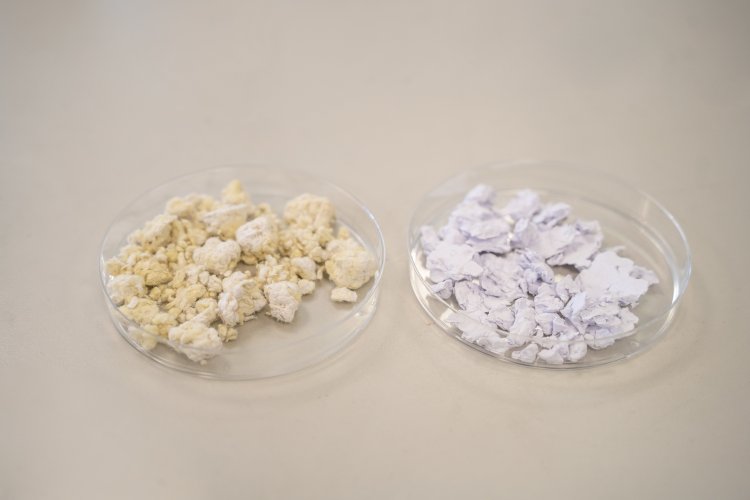 ITENE logra obtener un biopol&iacute;mero de origen microbiano a partir de residuos de naranja