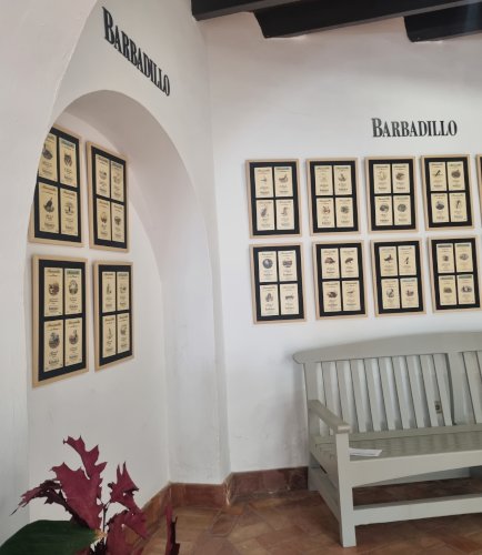 Barbadillo repasa 25 años de las etiquetas de su Manzanilla Solear Pasada en Rama Saca Estacional