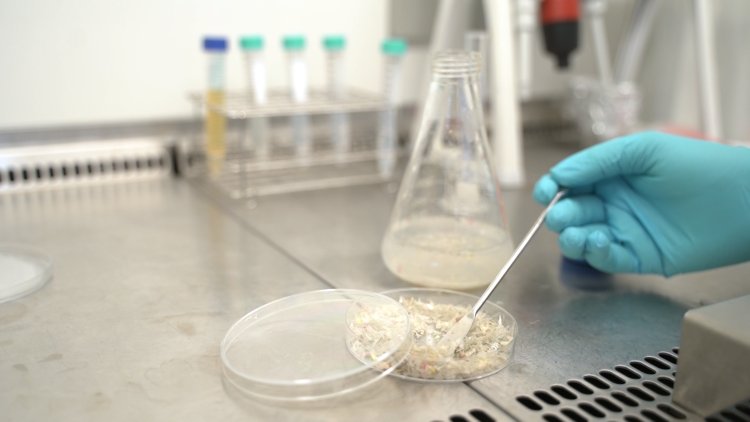 Nuevos procesos biol&oacute;gicos y qu&iacute;micos permiten recuperar residuos de pl&aacute;stico PET que presentan dificultades en el reciclado