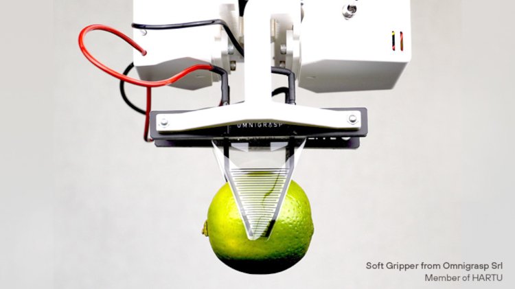 Nuevas tecnolog&iacute;as para flexibilizar la manipulaci&oacute;n robotizada de producto