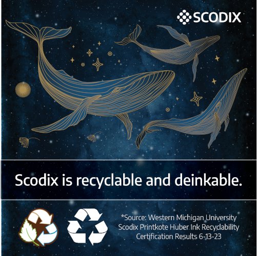 Scodix achieves major sustainability credentials with landmark repulpability and recyclability certification