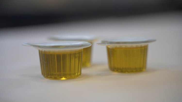 ADBioplastics desarrolla junto a Borges envases monodosis compostables para aceite de oliva virgen extra