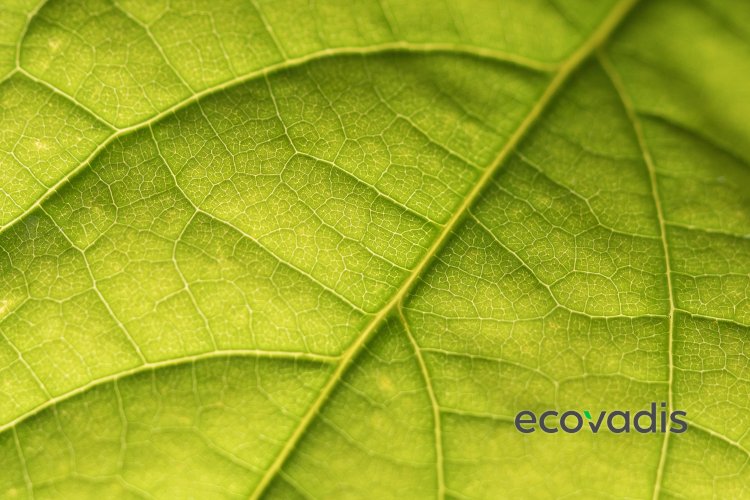 Lecta elige a EcoVadis para el proceso de certificación de sus proveedores