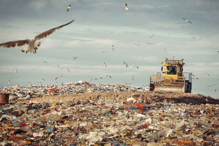 Las normas de reutilización obligatoria propuestas amenazan el mejor sistema de reciclaje del mundo