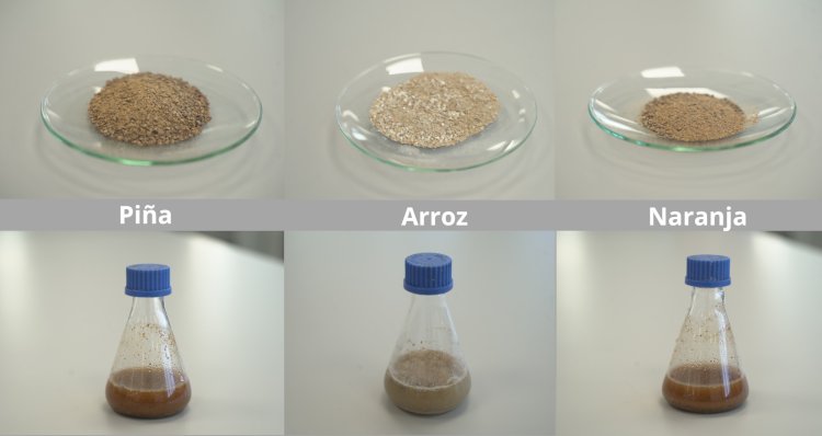 ITENE desarrolla nuevos procesos biotecnológicos para transformar residuos en precursores de materiales de packaging biodegradables