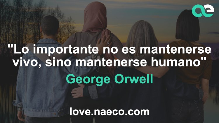 Naeco lanza un nuevo programa dentro de su plataforma Naeco Loves You: Naeco Recare