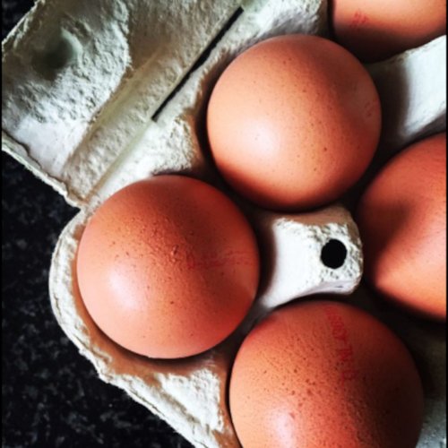 La Uni&oacute;n Europea cambia el etiquetado de los huevos para facilitar su comprensi&oacute;n