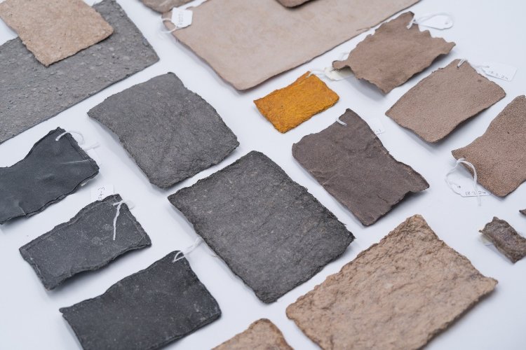 Un proyecto innovador que convierte los residuos de kombucha en packaging biodegradable y sostenible
