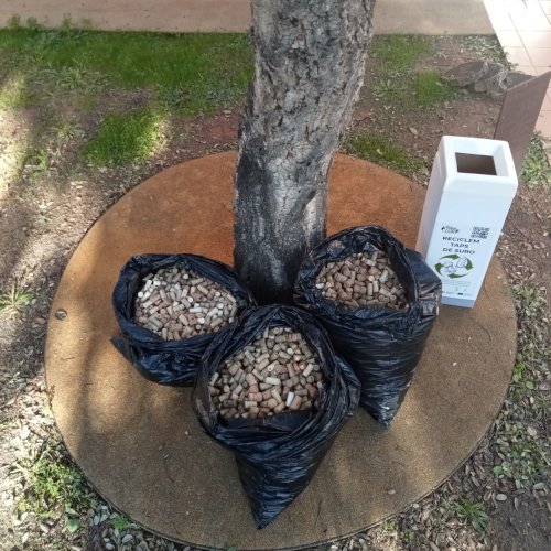 M&aacute;s de 30.000 tapones recuperados durante el primer trimestre de la prueba piloto de reciclaje de tapones de corcho