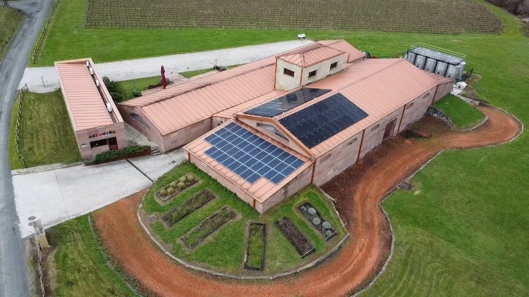 El txakoli de Artoma&ntilde;a alcanza la mejor categor&iacute;a Enviroscore (A), fruto de su compromiso ambiental