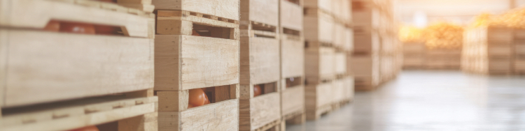 Ecoembes supera los 20.000 clientes en un año clave para la circularidad de las empresas