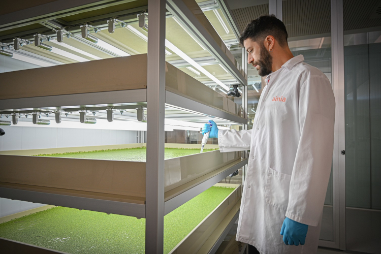 AINIA genera un impacto social de 464 millones de euros y reduce un 12 % su huella de carbono