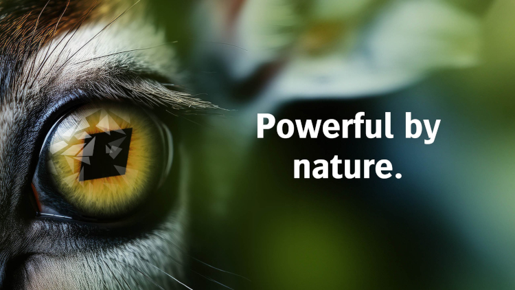 Agfa to spotlight inkjet printing innovation at The Print Show 2025