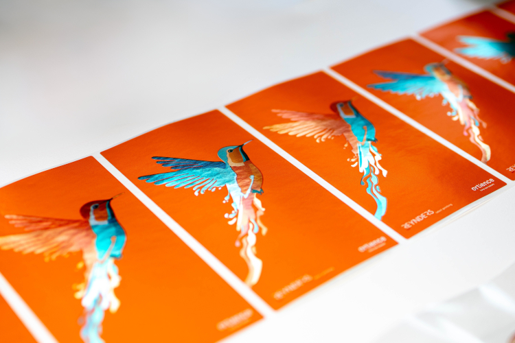 Toyo Ink Europe Introduces Steraflex GIO UV. a new standard in low migration UV flexo inks