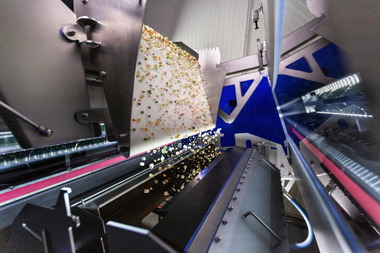 TOMRA Food brings the benefits of AI to greater parts of the food industry with new innovative sorting solution