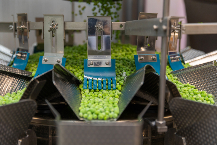 Ishida speed and efficiency help Barba Stathis to build on its success