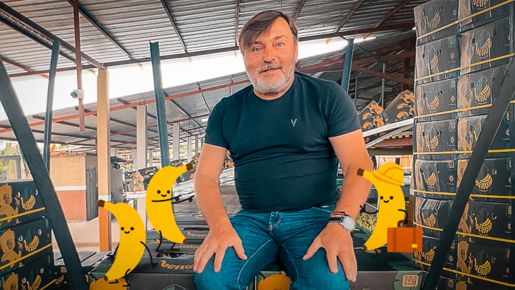 Mondi desarrolla una caja para bananos más ligera y sostenible gracias a colaboración con clientes