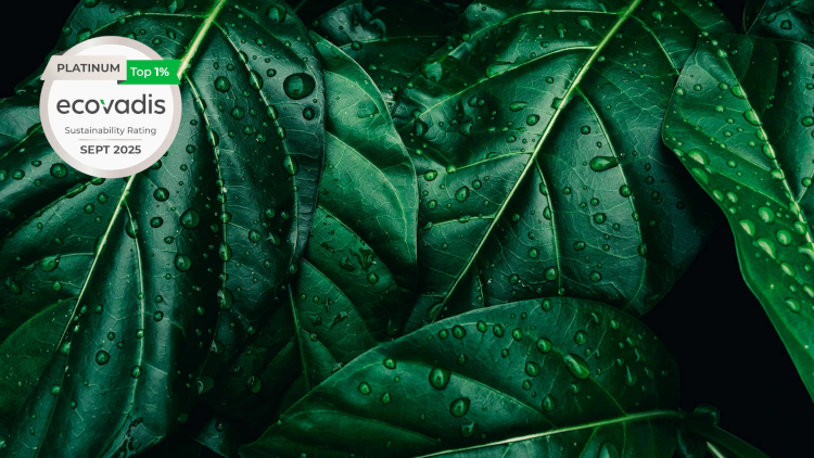 Lecta recibe la medalla de Platino de EcoVadis por segundo año consecutivo