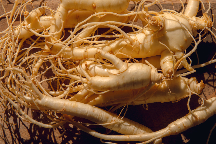 Givaudan partners with Michigan State University and PitFit to test the performance benefits of Cereboost™