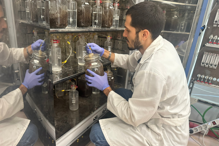 AIMPLAS investiga con microrganismos y virus para acelerar la biodegradaci&oacute;n de biopl&aacute;sticos