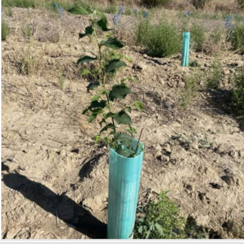 Ovelar obtiene el sello &ldquo;Calculo, Reduzco y Compenso&rdquo; y refuerza su compromiso con la sostenibilidad