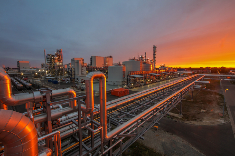 UPM welcomes new EU Bioeconomy Strategy as catalyst for sustainable growth and innovation