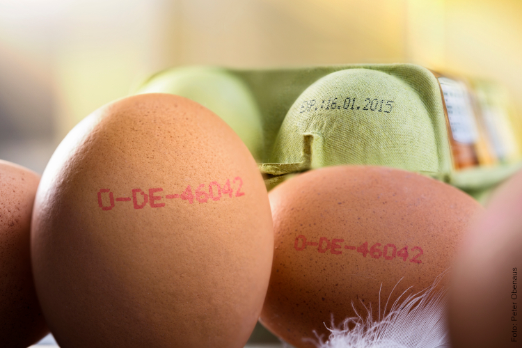 El "ADN" invisible de los productos: C&oacute;mo la tecnolog&iacute;a de codificaci&oacute;n protege nuestro d&iacute;a a d&iacute;a