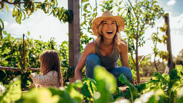 Konica Minolta, seleccionada como l&iacute;der clim&aacute;tica en Asia y el Pac&iacute;fico en 2025