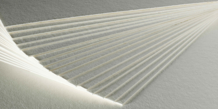 The Navigator Company es l&iacute;der mundial en la lucha contra el cambio clim&aacute;tico y la deforestaci&oacute;n