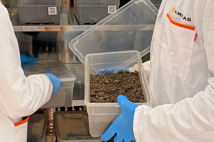 AIMPLAS abordar&aacute; en su seminario internacional el futuro regulatorio y t&eacute;cnico de las etiquetas compostables en frutas y verduras